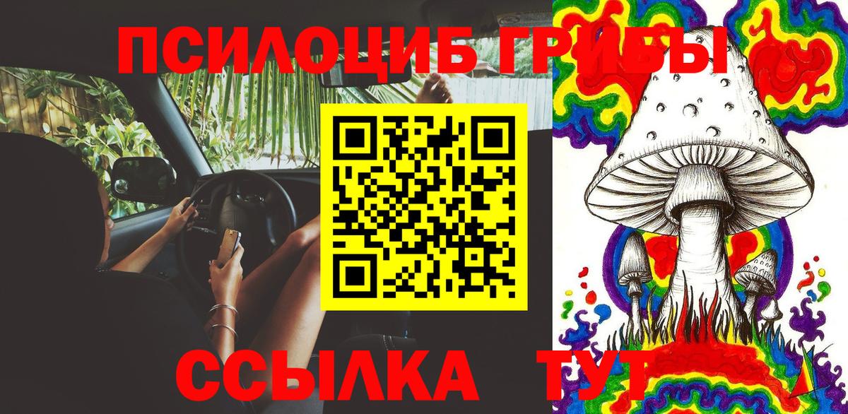 Галлюциногенные грибы Cubensis  Псилоцибиновые грибы Cubensis  Кушва  Вход с VPN 